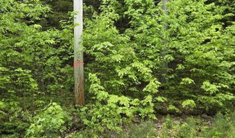 12-10 Boulder Dr, Campton, NH 03223