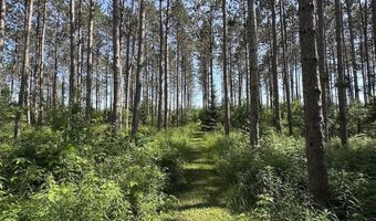 2254 E M30, Alger, MI 48610