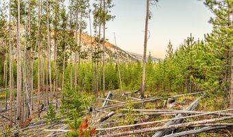 Harris Road lot 2 Tbd, Anaconda, MT 59711