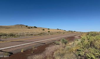 US Highway 180 lot 9C, Concho, AZ 85924