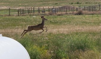 41219 County Road 84, Briggsdale, CO 80611