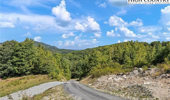 56 Grouseberry Dr, Banner Elk, NC 28604