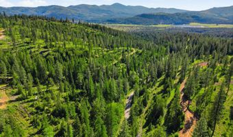 NNA Stone Rd Lot 2 20.0 Acres, Blanchard, ID 83804