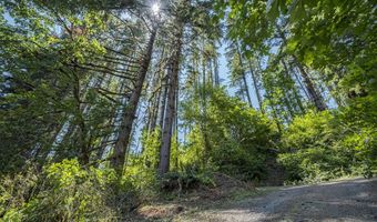 North Shore DR, Birkenfeld, OR 97016