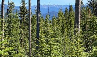 Bear Den Court Road, Big Sky, MT 59716