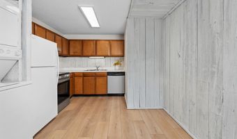 700 S Monarch St 207, Aspen, CO 81611
