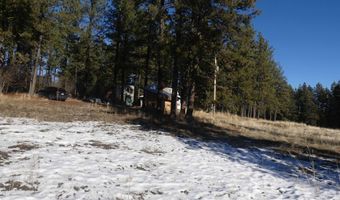 309 Wildrose Ln, Anatone, WA 99401