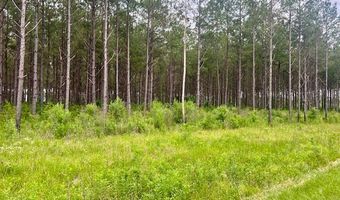 2423 B East Lincoln Rd, Brookhaven, MS 39601