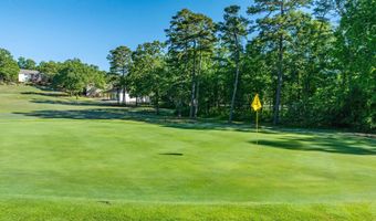 24 Zarina Ln Ln, Hot Springs Village, AR 71909