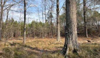 Cunningham Road, Bradley, SC 29819