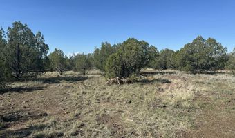 1325 W Ralphs Cir, Ash Fork, AZ 86320