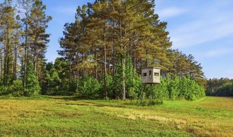 425 Rose Hill Rd, Bentonia, MS 39040