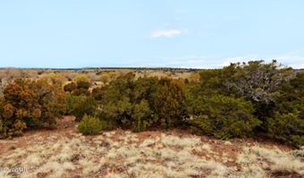 83 County Road 5083, Concho, AZ 85924