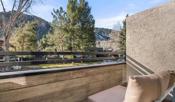 1024 E Cooper Ave 1, Aspen, CO 81611