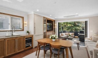 124 E Durant Ave 1, Aspen, CO 81611