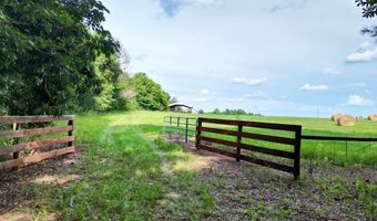 County Road 127, Banks, AL 36005