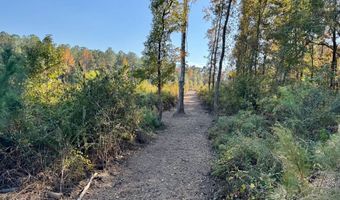 TBD Binnicker Bridge Road, Bamberg, SC 29003