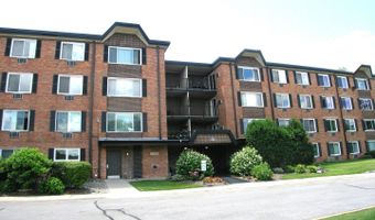 1216 S New Wilke Rd 406, Arlington Heights, IL 60005