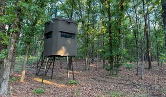 Old Moyers Road, Antlers, OK 74523