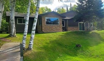 17251 E Pine Dr, Angle Inlet, MN 56711