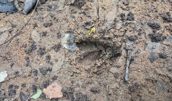 Old Lincolnton Road, Appling, GA 30802