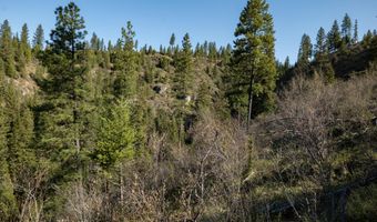 NKA 262 Ac N Side Rd, Calder, ID 83808