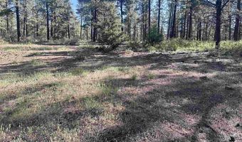 782 Hawks Meadow Dr, Bayfield, CO 81122