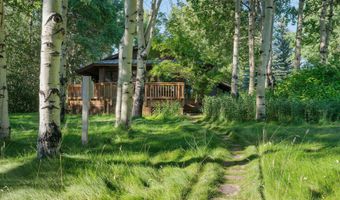 300 W TETON HIDEAWAY Dr, Alta, WY 83414