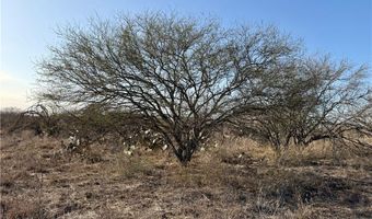 CR 119 lot 0, Alice, TX 78332