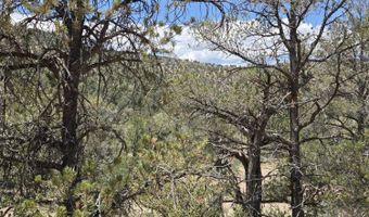 207 A Arizona Rd, Ash Fork, AZ 86320