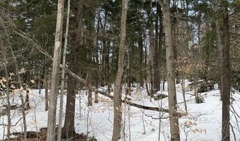 Map 6 Lot 103 Route 16, Albany, NH 03818