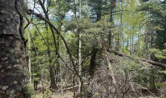 Lot 455 El Camino Real, Angel Fire, NM 87710