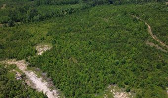 Tucker Road lot 11, Bath Springs, TN 38311