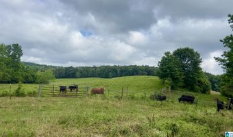 988 MINES Rd 100, Ashland, AL 36251