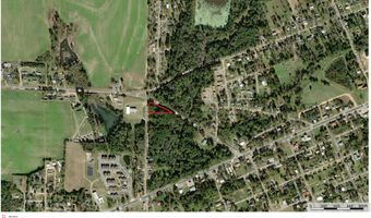 77 ACRE Leary N Rd, Ashburn, GA 31714