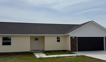 154 Grace Loop, Alma, GA 31510