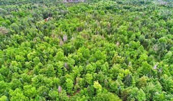 823 US RT 1, Amity, ME 04471