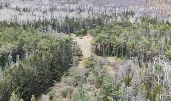 5280 Cathro Rd, Alpena, MI 49707