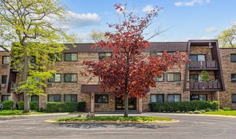 2604 N Windsor Dr 207, Arlington Heights, IL 60004