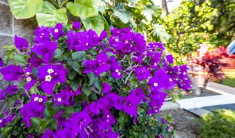 938 S Kihei Rd 301, Kihei, HI 96753