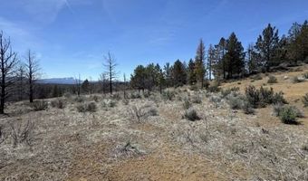 31763 Godowa Springs Rd, Beatty, OR 97621