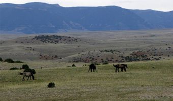 Deadman Creek Road, Bridger, MT 59014