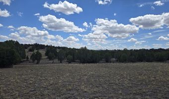 165 Off Old Hwy 66, Ash Fork, AZ 86320