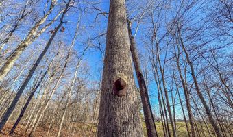 33056 Weaver Church Rd, Albany, OH 45710