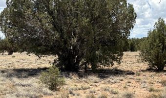 26 County Road 3048, Concho, AZ 85924
