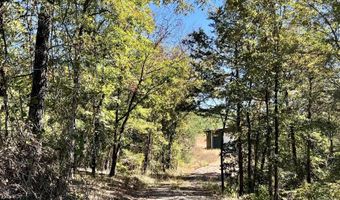 1011 Granny Hollar Rd, Atkins, AR 72823