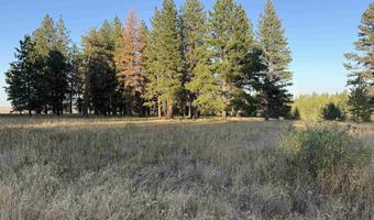 Tbd Harlow Ridge Rd - Cloverland Estates 35, Asotin, WA 99402