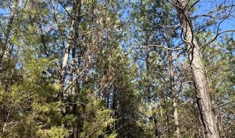 781 William Ave Lot 24, Appling, GA 30802