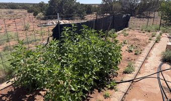 10 County Road 5463, Concho, AZ 85924