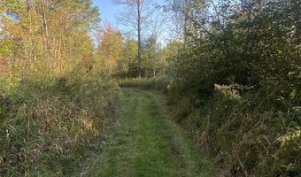 V/L S M-33, Alger, MI 48610